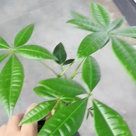 称心如意💰💰