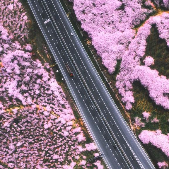 追远的距离