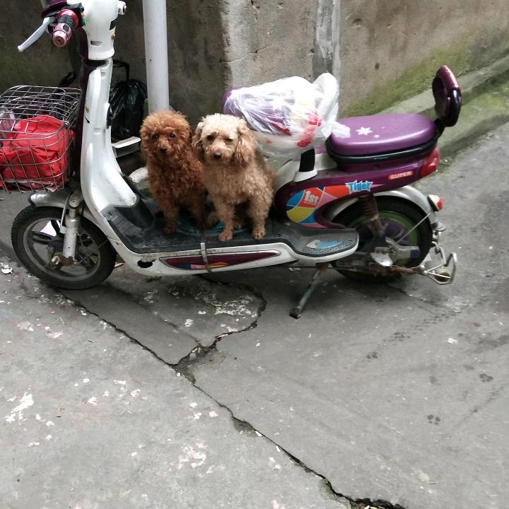快乐的人