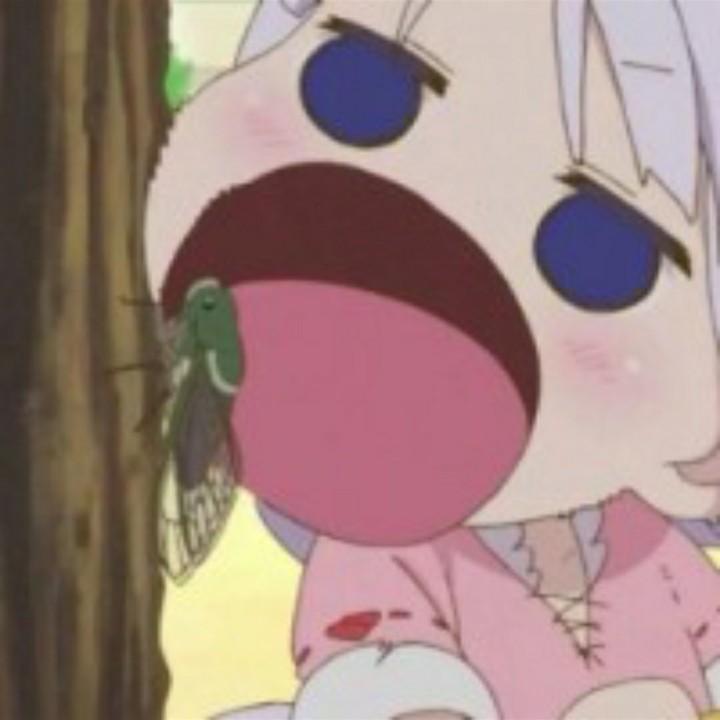 那个时候
