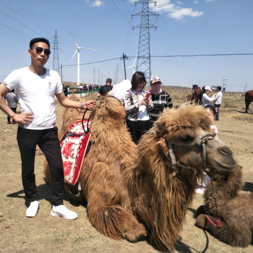 振威集团