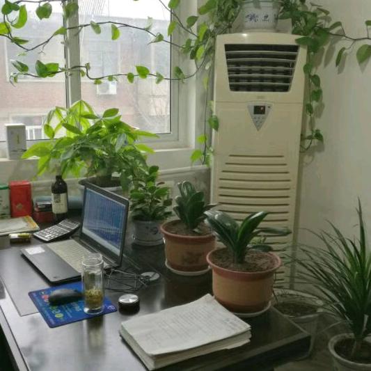 宝鸡军霞惠民建材装饰有限公司