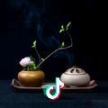 明天会更好