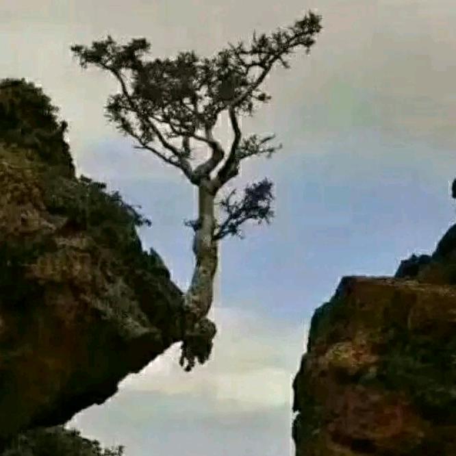 不足为奇