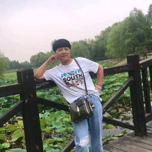玫瑰