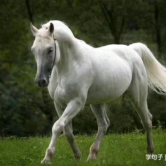 太阳