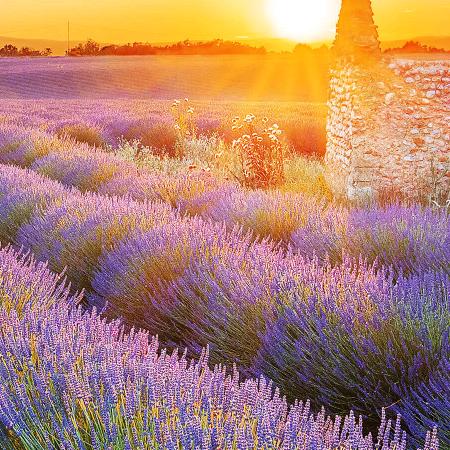 步步美中老年鞋行