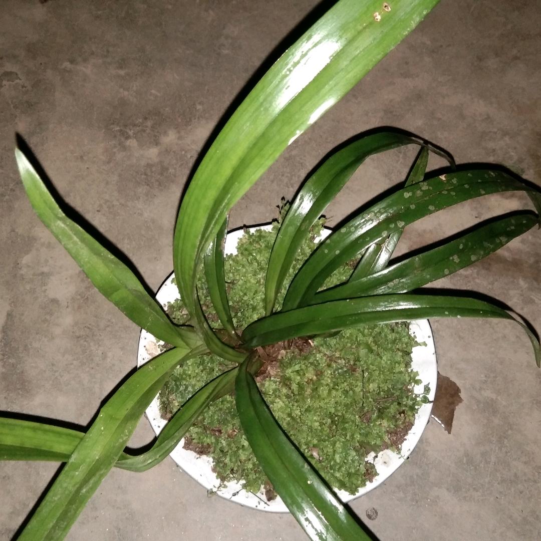 已重置