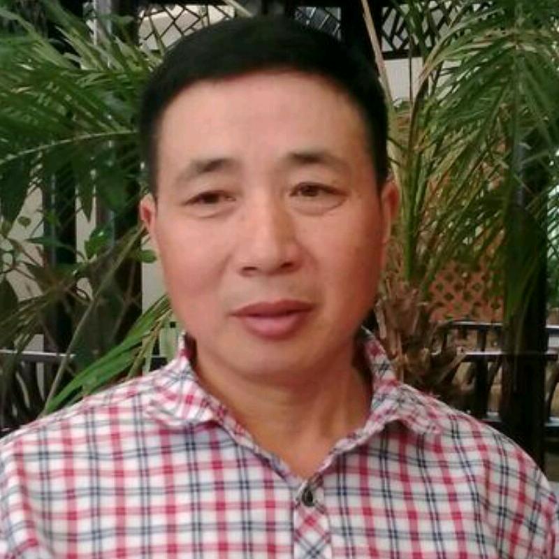 自由飞翔