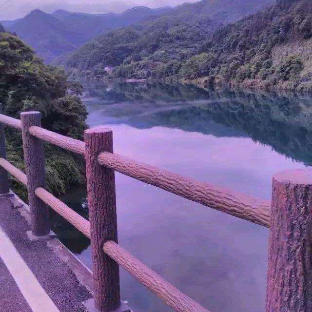 曾爽