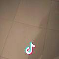 吴忧无虑