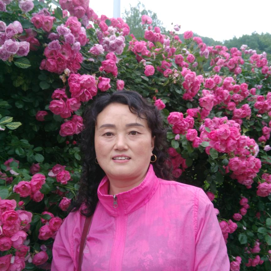 红叶