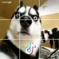 嘿嘿嗨起来3.0
