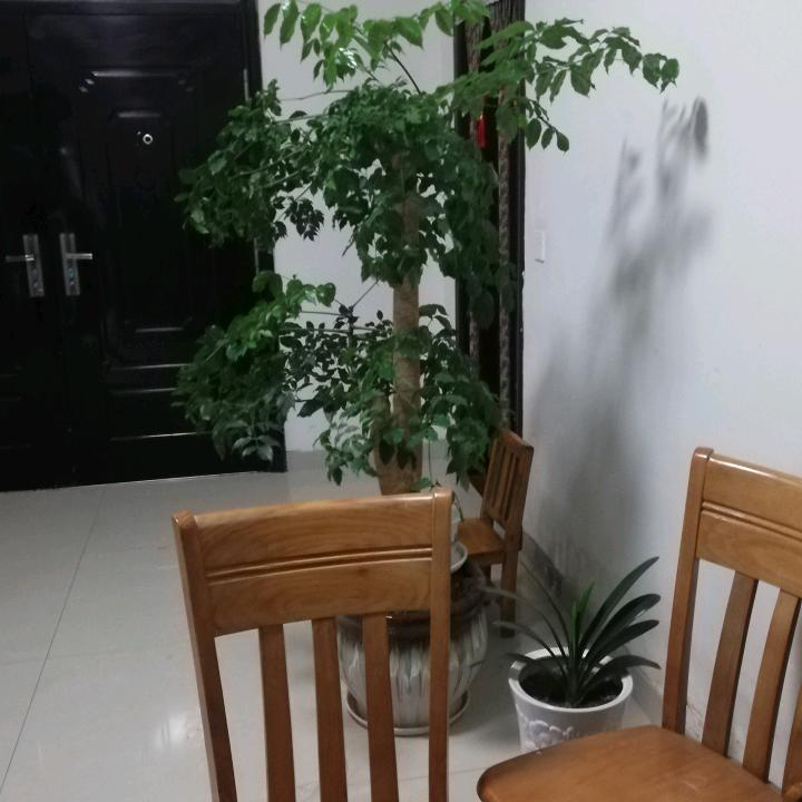 鲁力加油