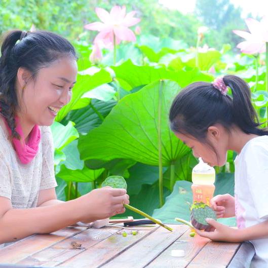 纯藕粉，耿彦红