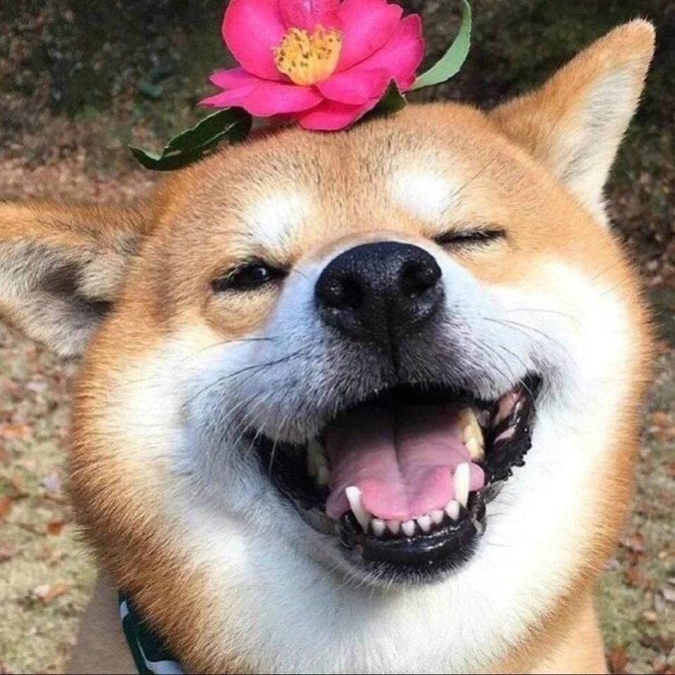 啊？