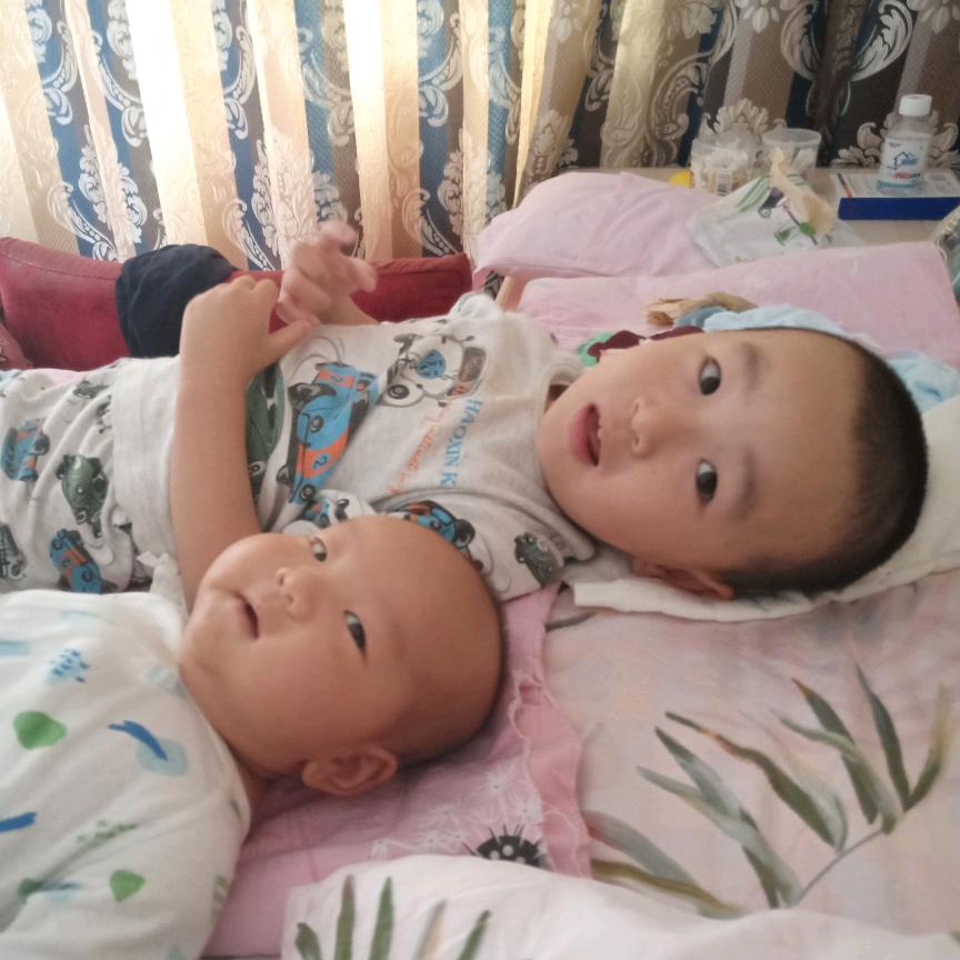 小薯块的大番茄