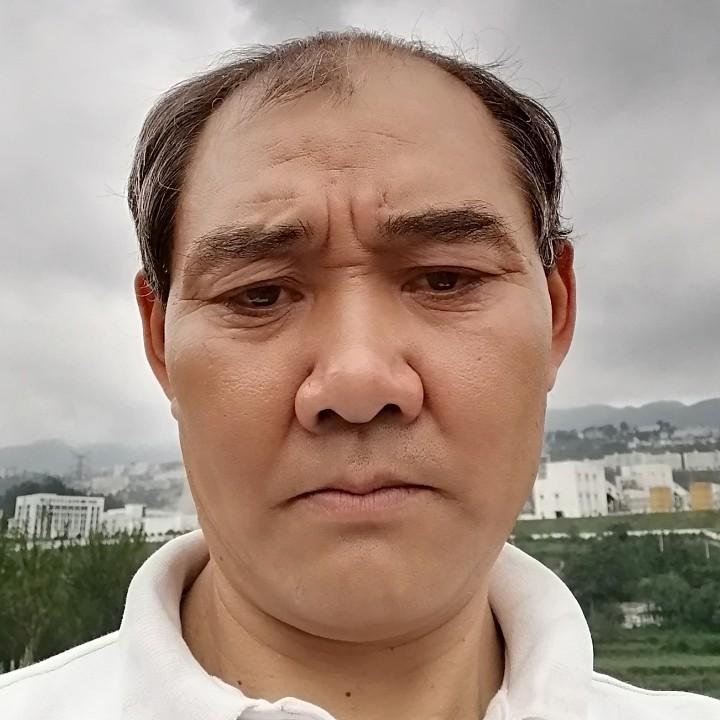 郁金香