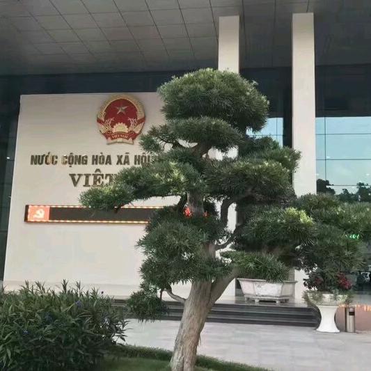 啊雄