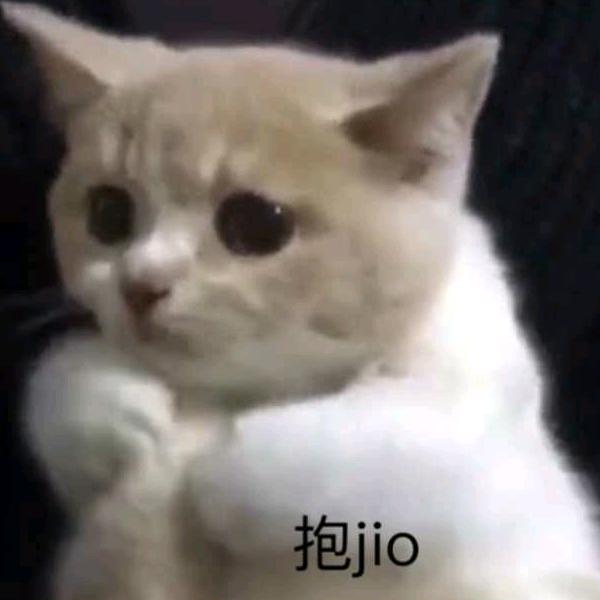 白茶清欢无别事