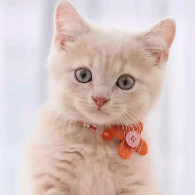 四个孩子的奶奶