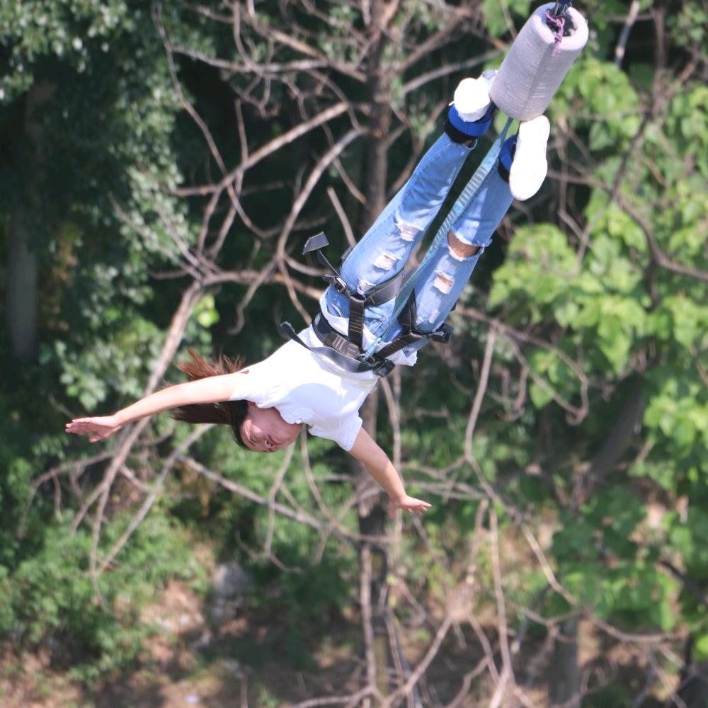 努力赚钱的打工人