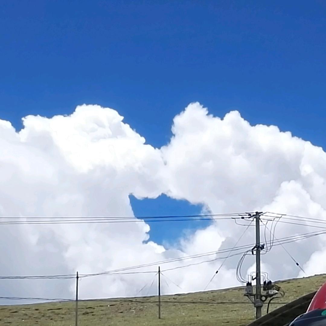 抖鲜山东