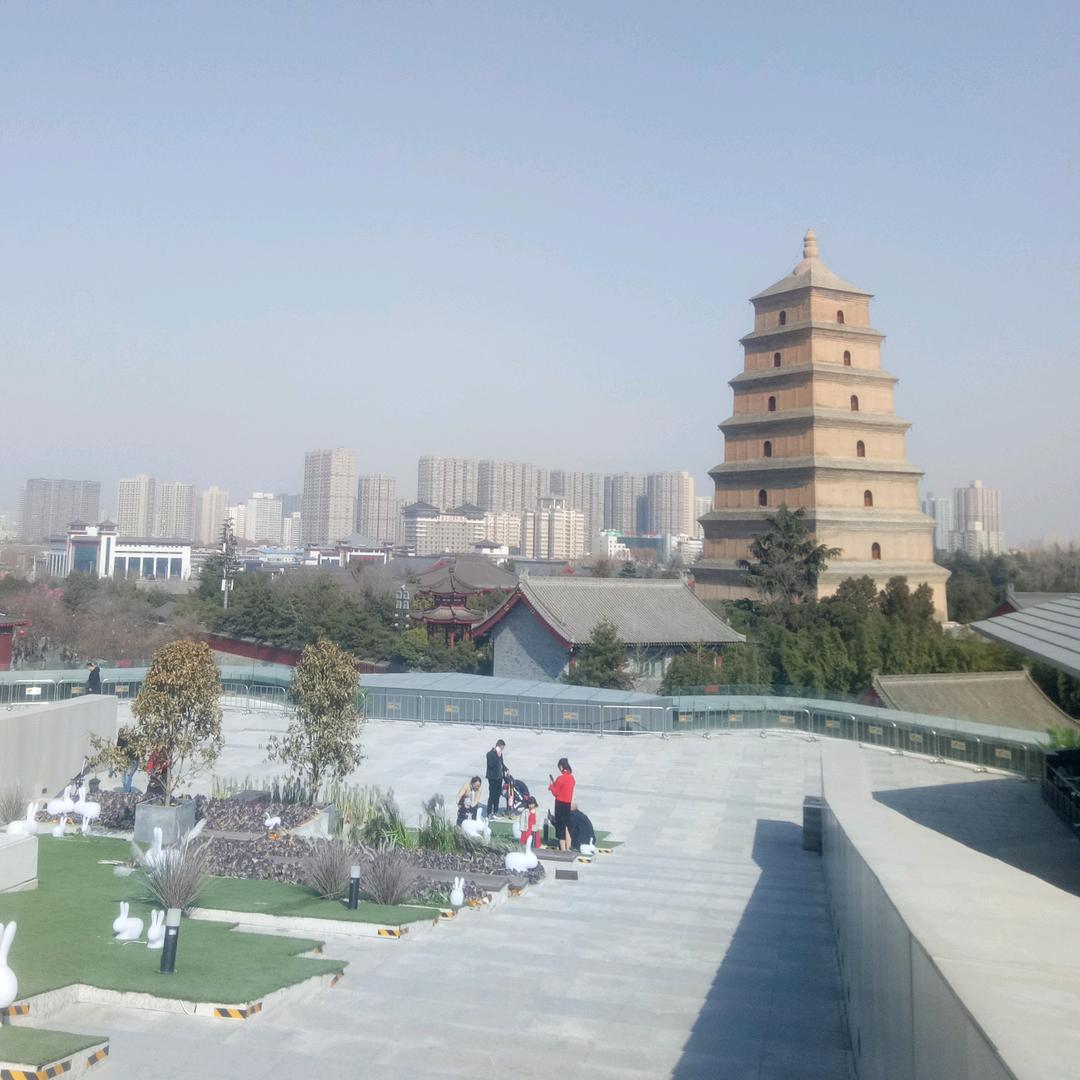 袁仔