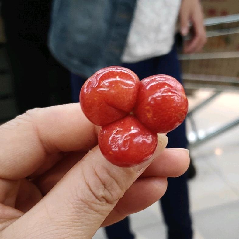 英桃姐姐