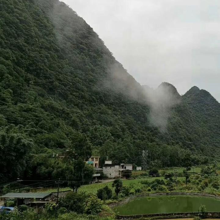 军哥