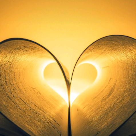 你永远的大怪兽