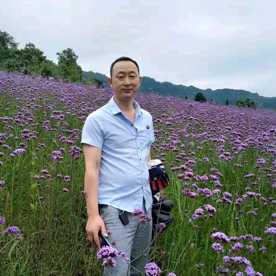 一生爱你