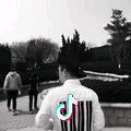 马路牙子