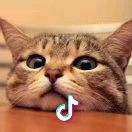 重庆是个好地方