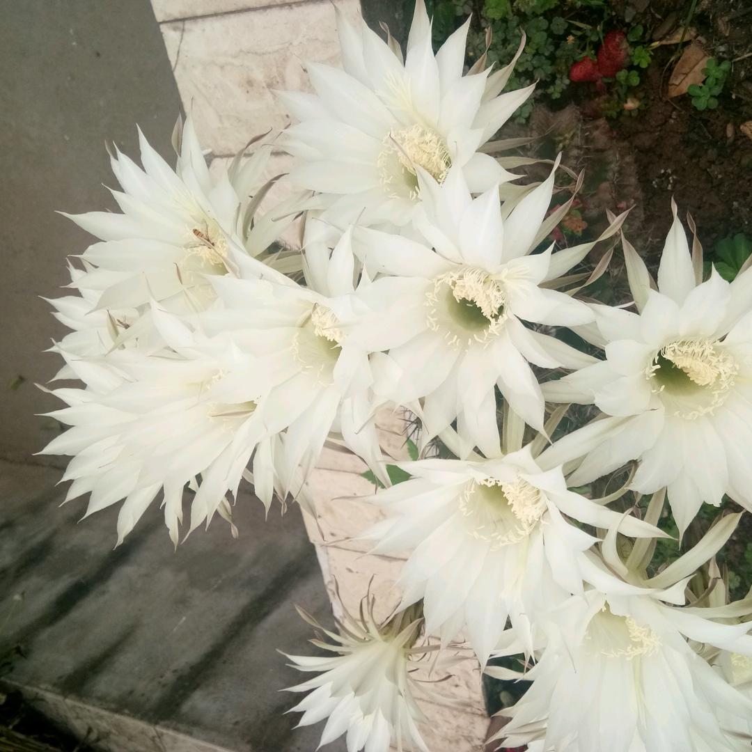 微笑就对了