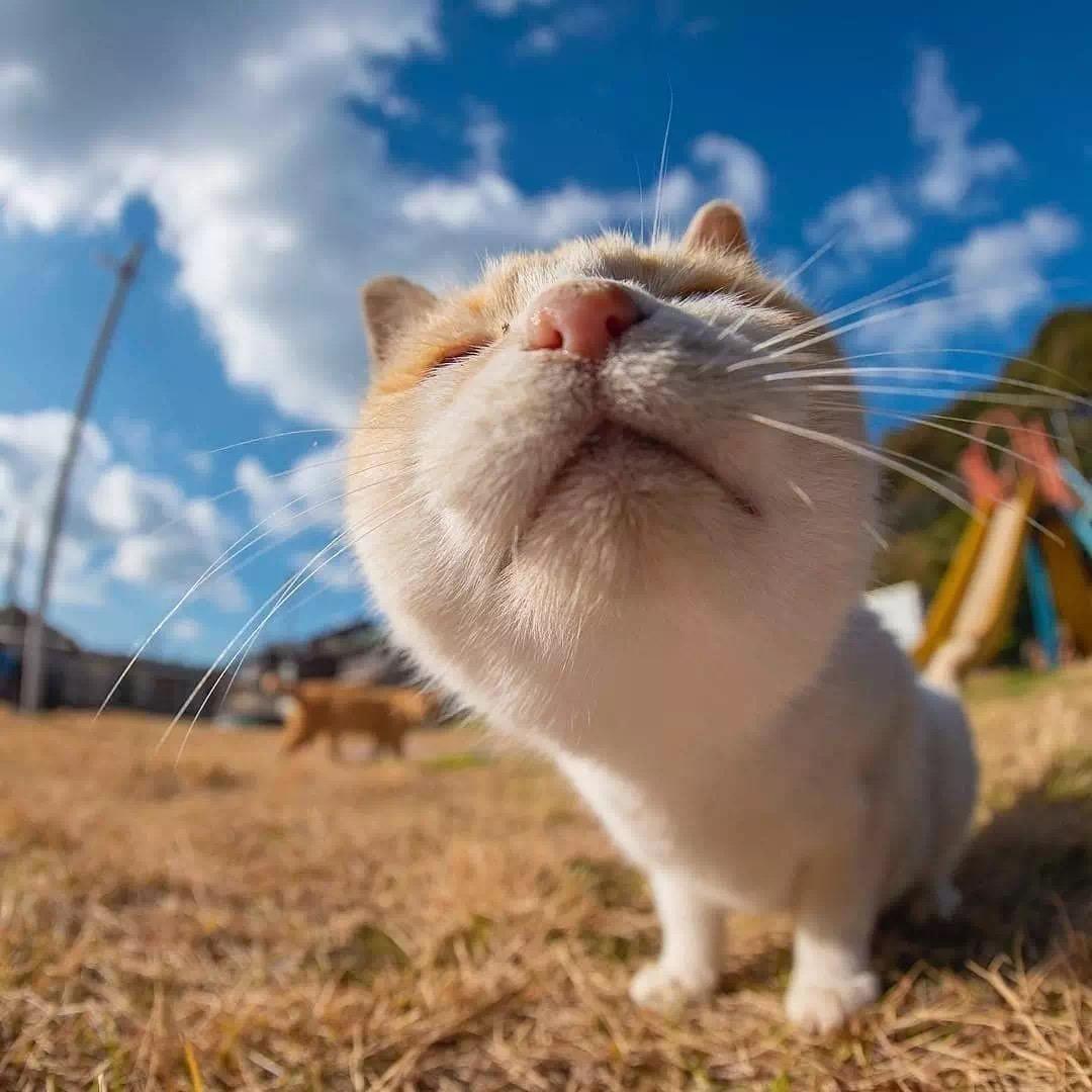 喝水不忘挖景人🦁