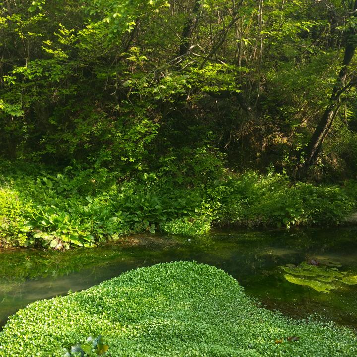 山风