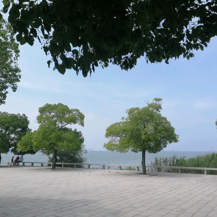 不瞌睡
