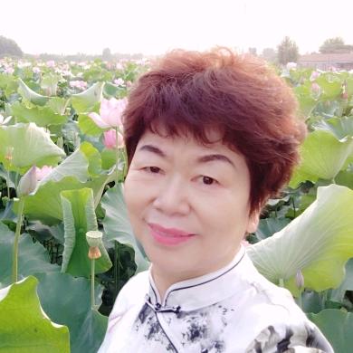 康乃馨