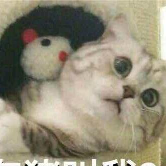 精彩