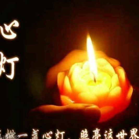 逍遥鞭客