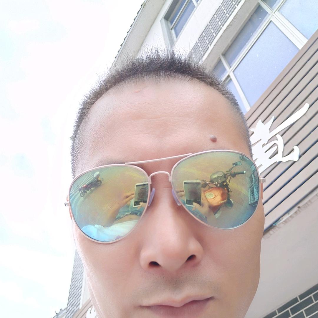 沙漠里的羊，