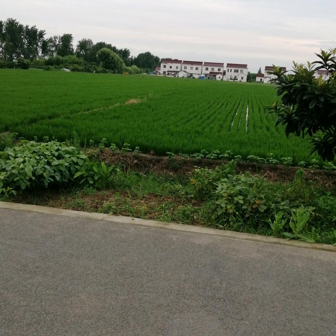 空中飘