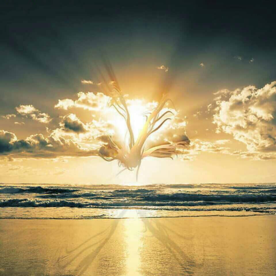 少年春哥（王者无悔）