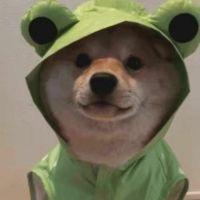 .