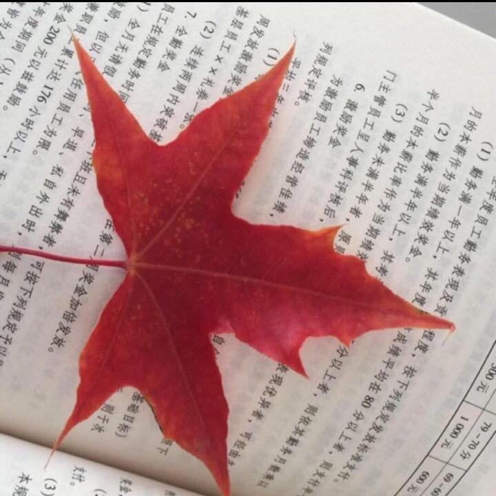天涯海角