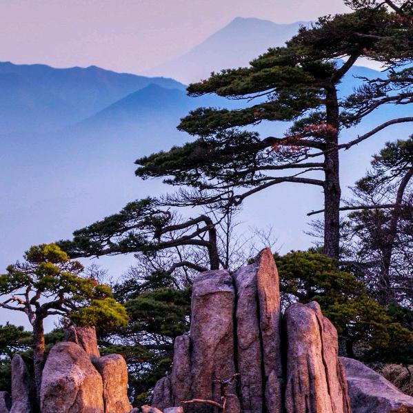 远方～爱相随💕