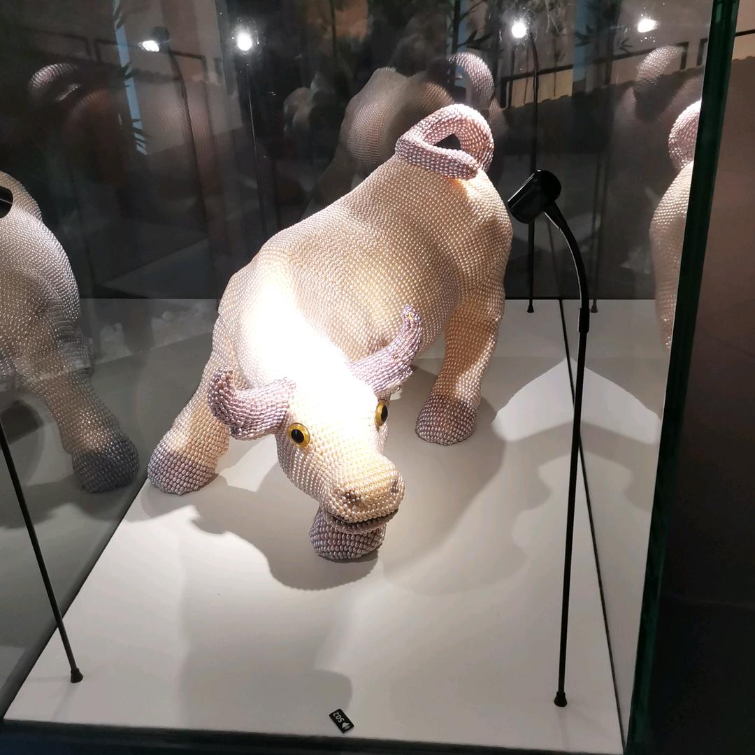 贵哥