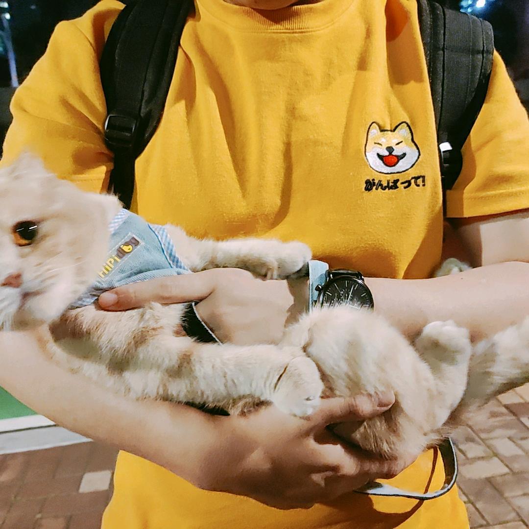 无蛋蛋和他的胖婆娘🐱(>^ω^<)🐱
