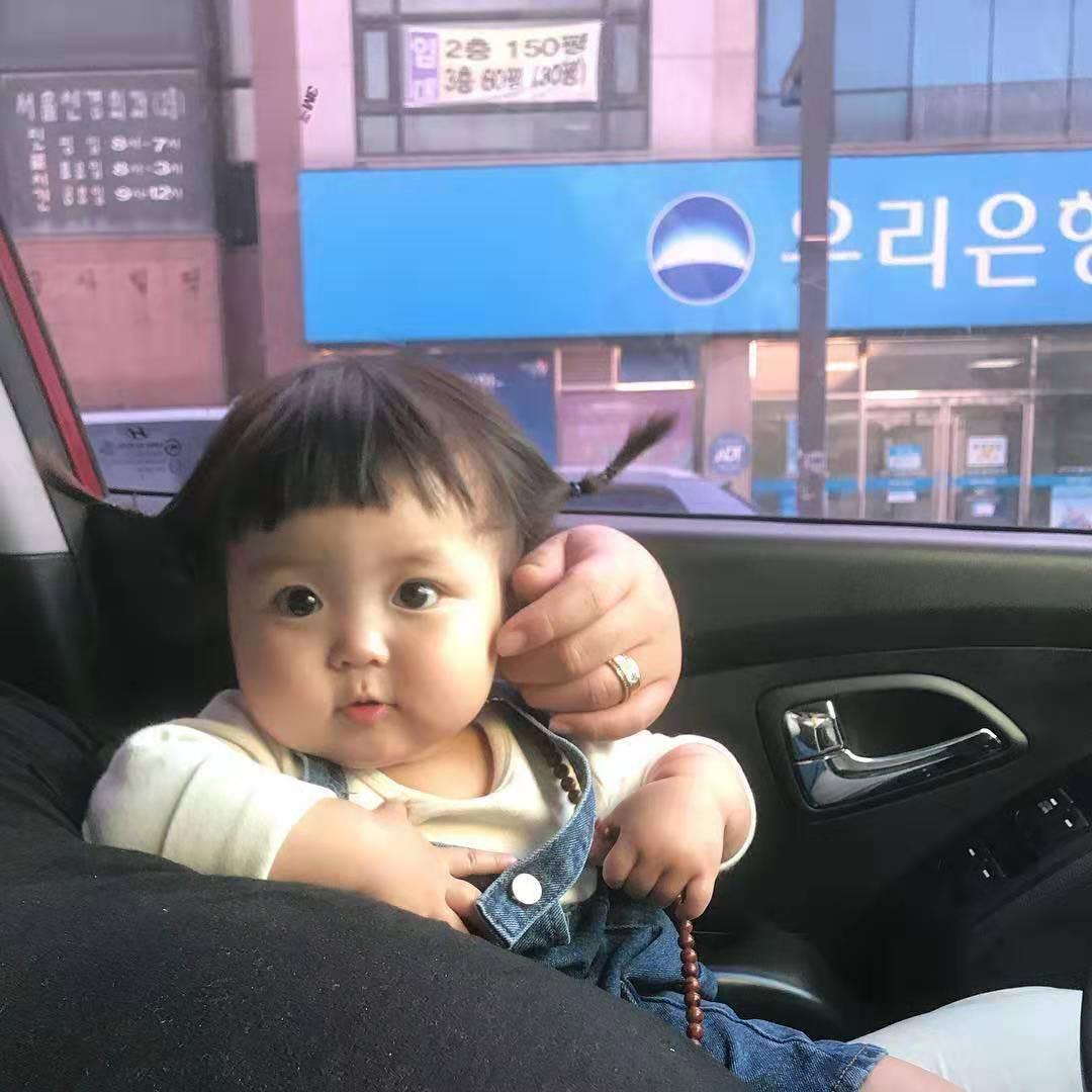 傻憨憨是只喵